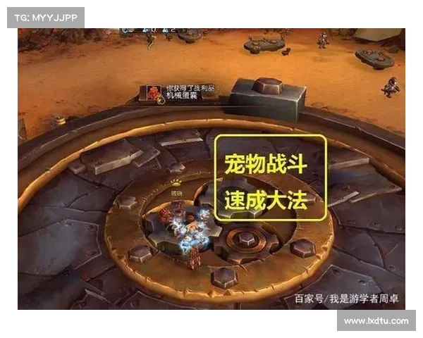 魔兽世界战宠升级秘籍：快速提升战力